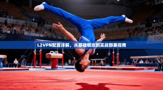 L2VPN配置详解，从基础概念到实战部署指南