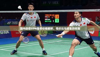 国内动态VPN服务价格解析，性价比与安全的权衡