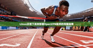 Linux环境下高效部署OpenVPN服务的完整指南