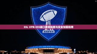 SSL VPN 455端口异常排查与安全加固指南