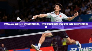 VMware与Cisco VPN融合部署，企业级网络虚拟化与安全远程访问的协同实践