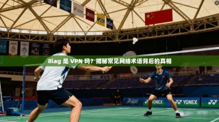 8lag 是 VPN 吗？揭秘常见网络术语背后的真相