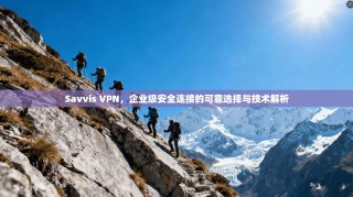 Savvis VPN，企业级安全连接的可靠选择与技术解析