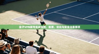 盒子VPN拨号实战指南，配置、优化与安全注意事项