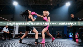 合法合规使用网络服务，理解虚拟私人网络（VPN）的正确用途与边界