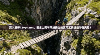 深入解析12vpn.net，匿名上网与网络安全的实用工具还是潜在风险？