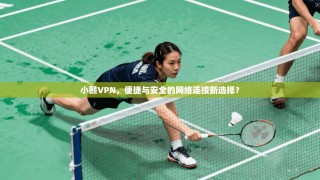 小熙VPN，便捷与安全的网络连接新选择？