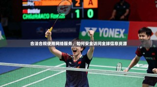 合法合规使用网络服务，如何安全访问全球信息资源