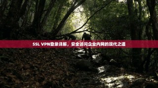 SSL VPN登录详解，安全访问企业内网的现代之道