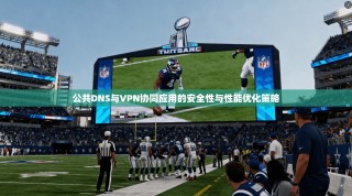 公共DNS与VPN协同应用的安全性与性能优化策略