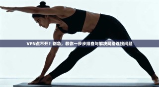VPN点不开？别急，教你一步步排查与解决网络连接问题