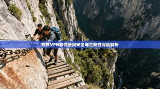 核桃VPN软件使用安全与合规性深度解析