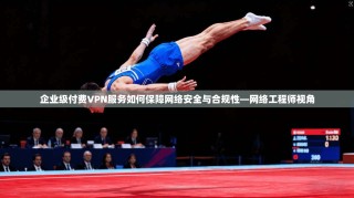 企业级付费VPN服务如何保障网络安全与合规性—网络工程师视角