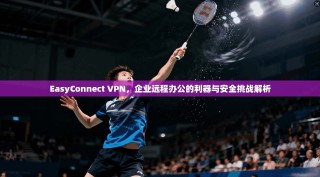 EasyConnect VPN，企业远程办公的利器与安全挑战解析