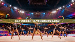 小米2 VPN 取消后，用户如何保障网络安全与隐私？