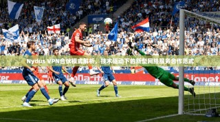 Nydus VPN合伙模式解析，技术驱动下的新型网络服务合作范式