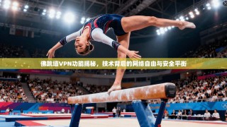 佛跳墙VPN功能揭秘，技术背后的网络自由与安全平衡