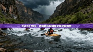 SSDOG VPN，功能解析与网络安全使用指南
