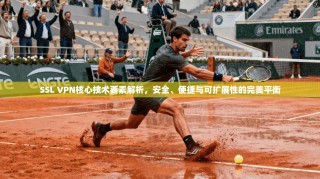 SSL VPN核心技术要素解析，安全、便捷与可扩展性的完美平衡