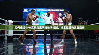 如何通过VPN实现指定网站访问控制，技术原理与实践指南