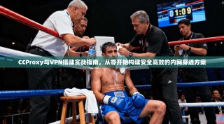 CCProxy与VPN搭建实战指南，从零开始构建安全高效的内网穿透方案