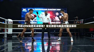 手机VPN突然无法使用？常见原因与解决方案全解析