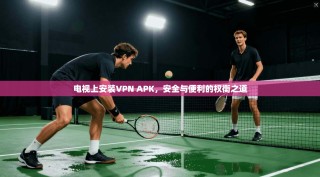 电视上安装VPN APK，安全与便利的权衡之道