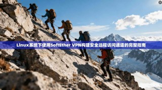 Linux系统下使用SoftEther VPN构建安全远程访问通道的完整指南