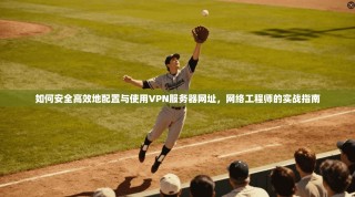 如何安全高效地配置与使用VPN服务器网址，网络工程师的实战指南