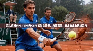 深入解析MPLS VPN与OSPF的融合部署，构建高效、安全的企业网络架构