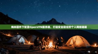 梅林固件下配置OpenVPN服务器，打造安全稳定的个人网络隧道