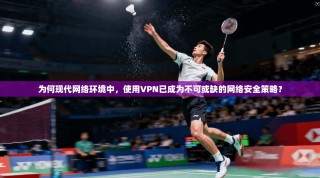 为何现代网络环境中，使用VPN已成为不可或缺的网络安全策略？