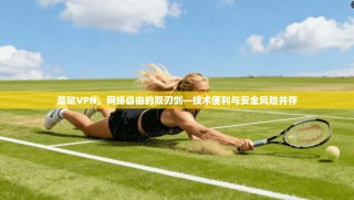 是哒VPN，网络自由的双刃剑—技术便利与安全风险并存