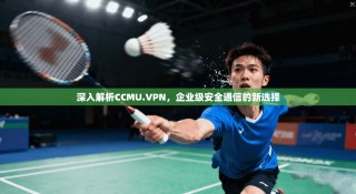 深入解析CCMU.VPN，企业级安全通信的新选择