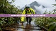 警惕免费欧洲VPN陷阱，网络安全与隐私风险全解析
