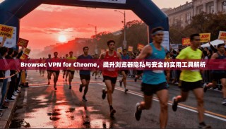 Browsec VPN for Chrome，提升浏览器隐私与安全的实用工具解析