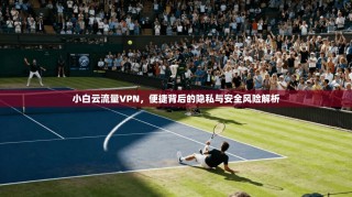 小白云流量VPN，便捷背后的隐私与安全风险解析