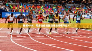 梯梯VPN，网络自由的捷径还是潜在风险？