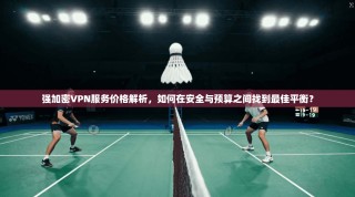 强加密VPN服务价格解析，如何在安全与预算之间找到最佳平衡？