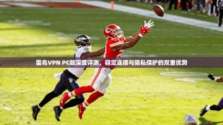 雷鸟VPN PC版深度评测，稳定连接与隐私保护的双重优势