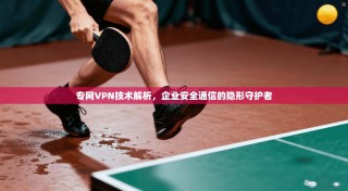 专网VPN技术解析，企业安全通信的隐形守护者