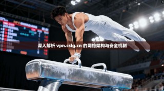 深入解析 vpn.cslg.cn 的网络架构与安全机制