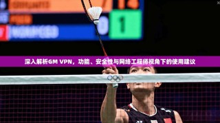 深入解析GM VPN，功能、安全性与网络工程师视角下的使用建议
