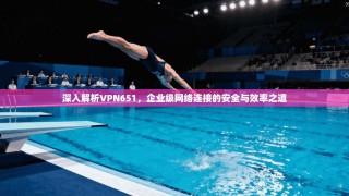 深入解析VPN651，企业级网络连接的安全与效率之道