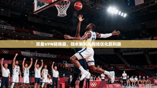 双鱼VPN转换器，技术解析与网络优化新利器