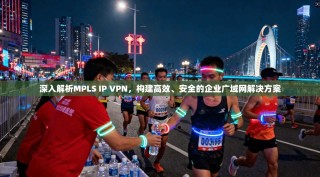 深入解析MPLS IP VPN，构建高效、安全的企业广域网解决方案