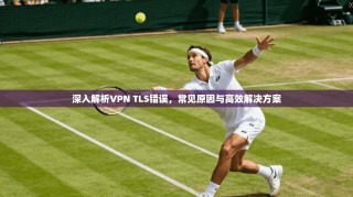 深入解析VPN TLS错误，常见原因与高效解决方案