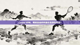 Laoyu VPN，网络自由的利器还是潜在风险？