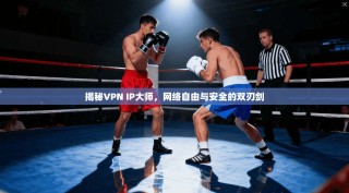 揭秘VPN IP大师，网络自由与安全的双刃剑