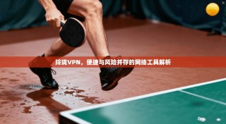 玲珑VPN，便捷与风险并存的网络工具解析